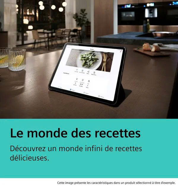image descrption